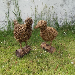 Chicken and Duck Workshops