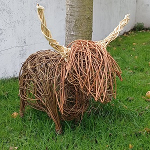 Highland Cow Workshops