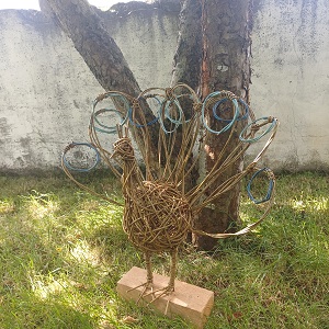 Peacock Workshops